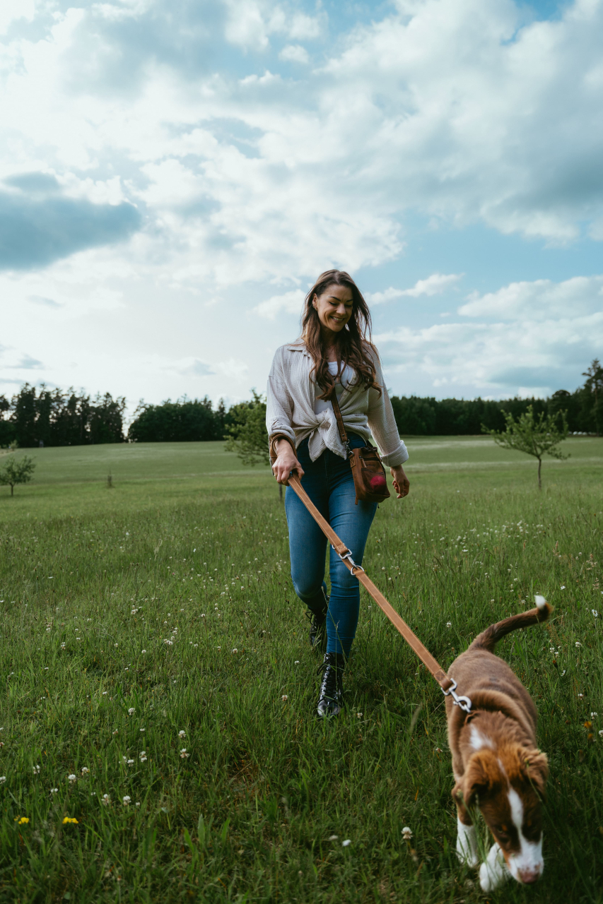 Vintage Hundelleine Dogmaster Leder