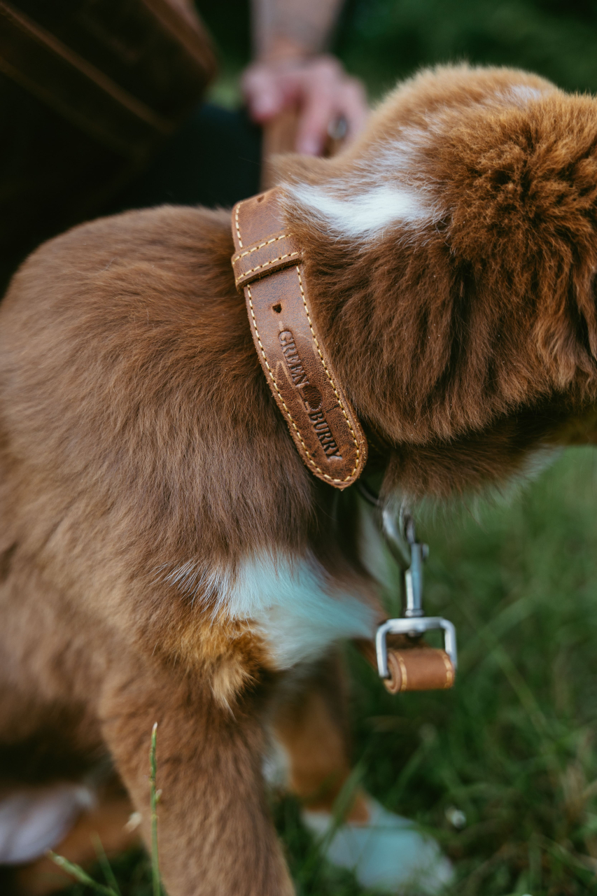 Vintage Dog Neckholder 50 cm Leder